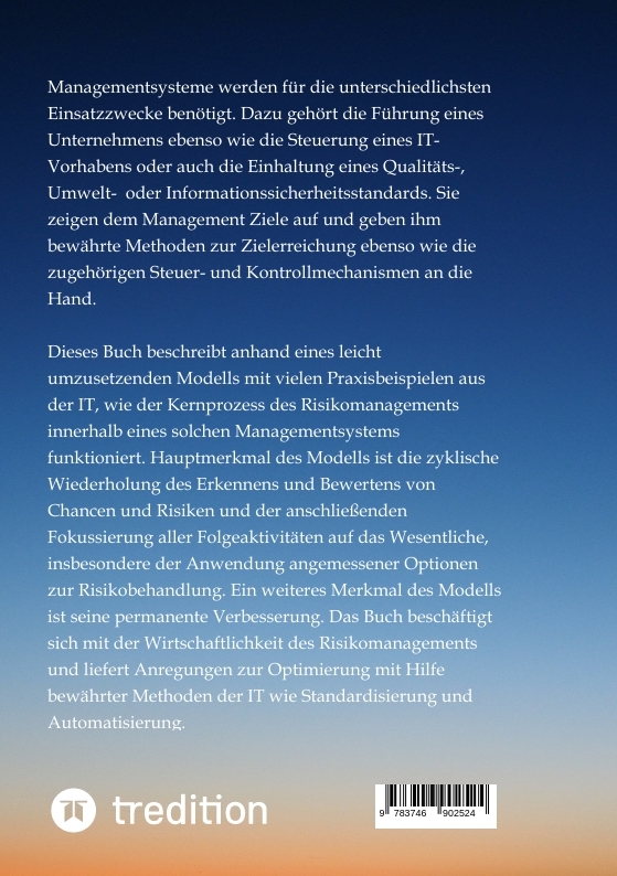 Rückseitencover Risiken in der IT: Erkennen - Steuern - Verbessern