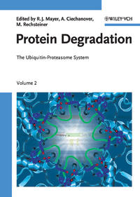 Vorderes Coverbild Protein Degradation