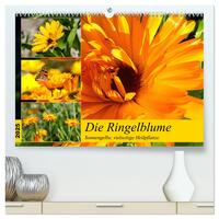 Vorderes Coverbild Die Ringelblume. Sonnengelbe, vielseitige Heilpflanze (hochwertiger Premium Wandkalender 2025 DIN A2 quer), Kunstdruck in Hochglanz