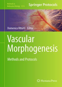 Vorderes Coverbild Vascular Morphogenesis