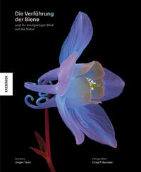 Vorderes Coverbild Die Verführung der Biene
