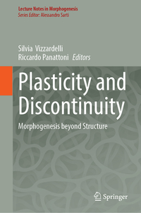 Vorderes Coverbild Plasticity and Discontinuity