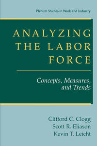 Vorderes Coverbild Analyzing the Labor Force