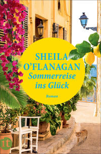 Vorderes Coverbild Sommerreise ins Glück