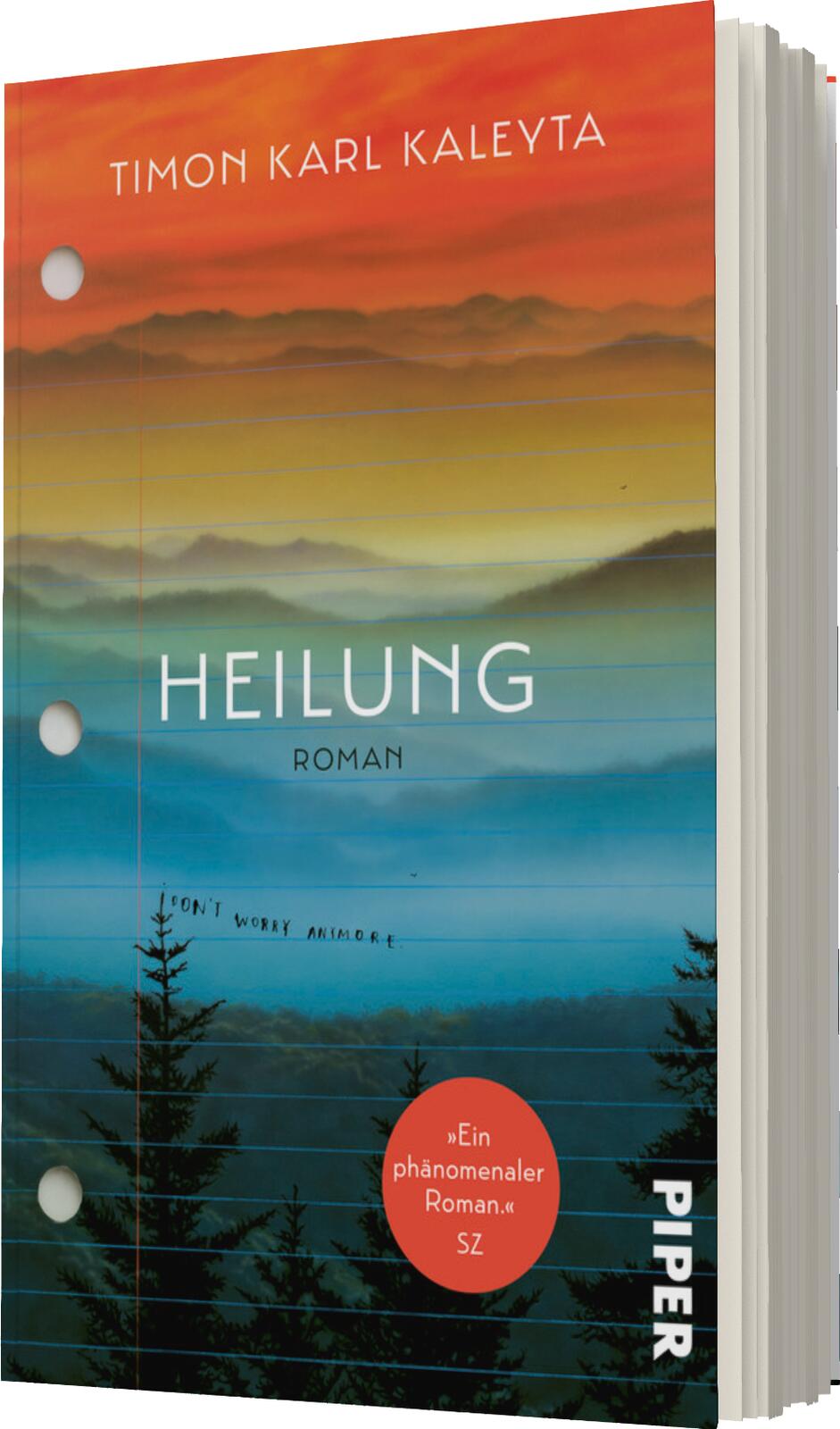 Anderes Coverbild Heilung