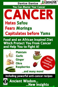 Vorderes Coverbild Cancer Hates Safou, Fears Moringa and Capitulates before Yams - Foods and an African inspired diet, that will protect you against cancer and help defeating it!