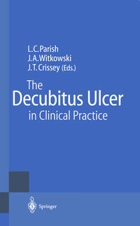 Vorderes Coverbild The Decubitus Ulcer in Clinical Practice