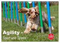 Vorderes Coverbild Agility - Sport und Spass (Wandkalender 2025 DIN A4 quer), CALVENDO Monatskalender