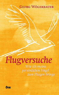 Vorderes Coverbild Flugversuche