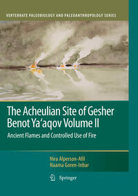 Vorderes Coverbild The Acheulian Site of Gesher Benot Ya’aqov Volume II