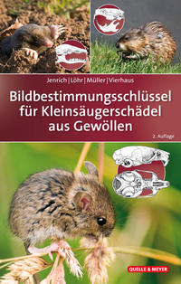 Vorderes Coverbild Bildbestimmungsschlüssel für Kleinsäugerschädel aus Gewöllen