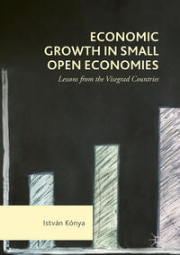 Vorderes Coverbild Economic Growth in Small Open Economies