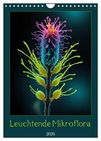 Vorderes Coverbild Leuchtende Mikroflora (Wandkalender 2026 DIN A4 hoch), CALVENDO Monatskalender