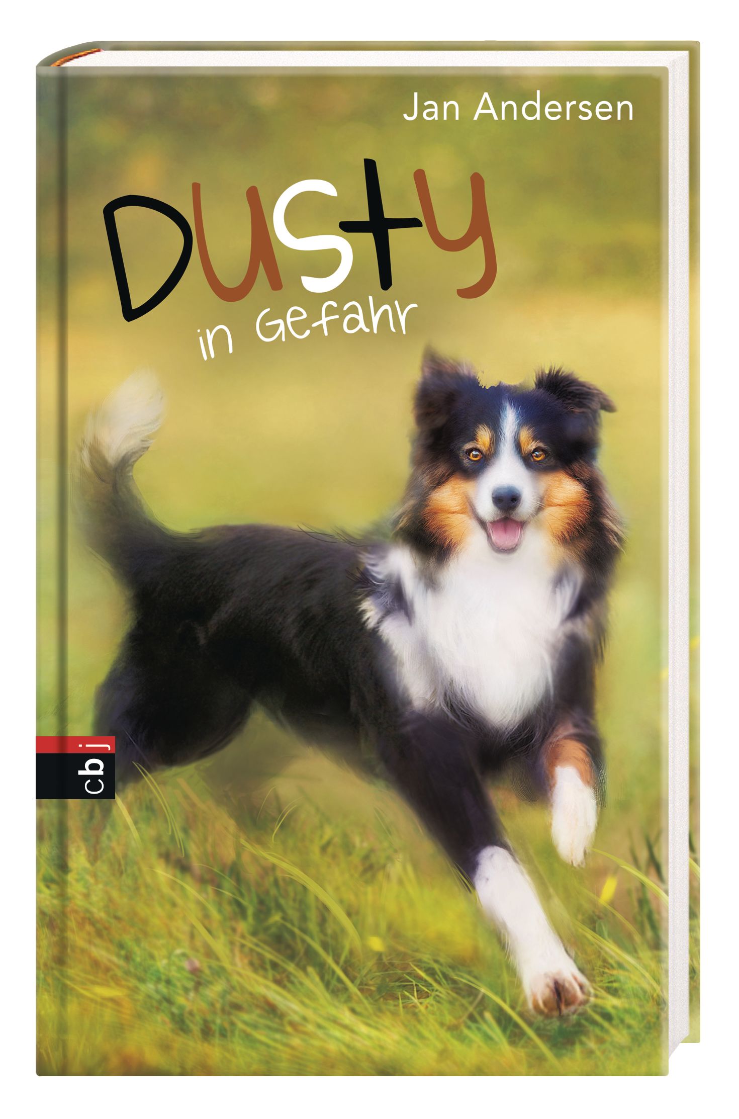 Beispielinhalt (Bild) Dusty in Gefahr