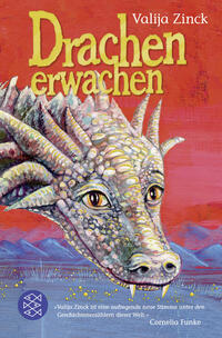 Vorderes Coverbild Drachenerwachen