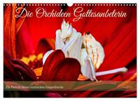 Vorderes Coverbild Die Orchideen Gottesanbeterin (Wandkalender 2025 DIN A3 quer), CALVENDO Monatskalender