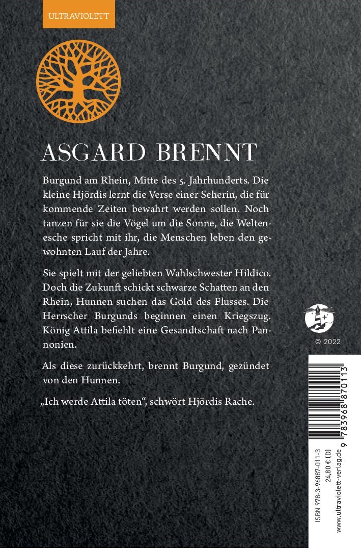 Rückseitencover Asgard brennt