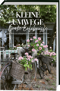 Vorderes Coverbild Kleine Umwege, große Erlebnisse. Eine Reise zu verborgenen Traumorten in Skandinavien.