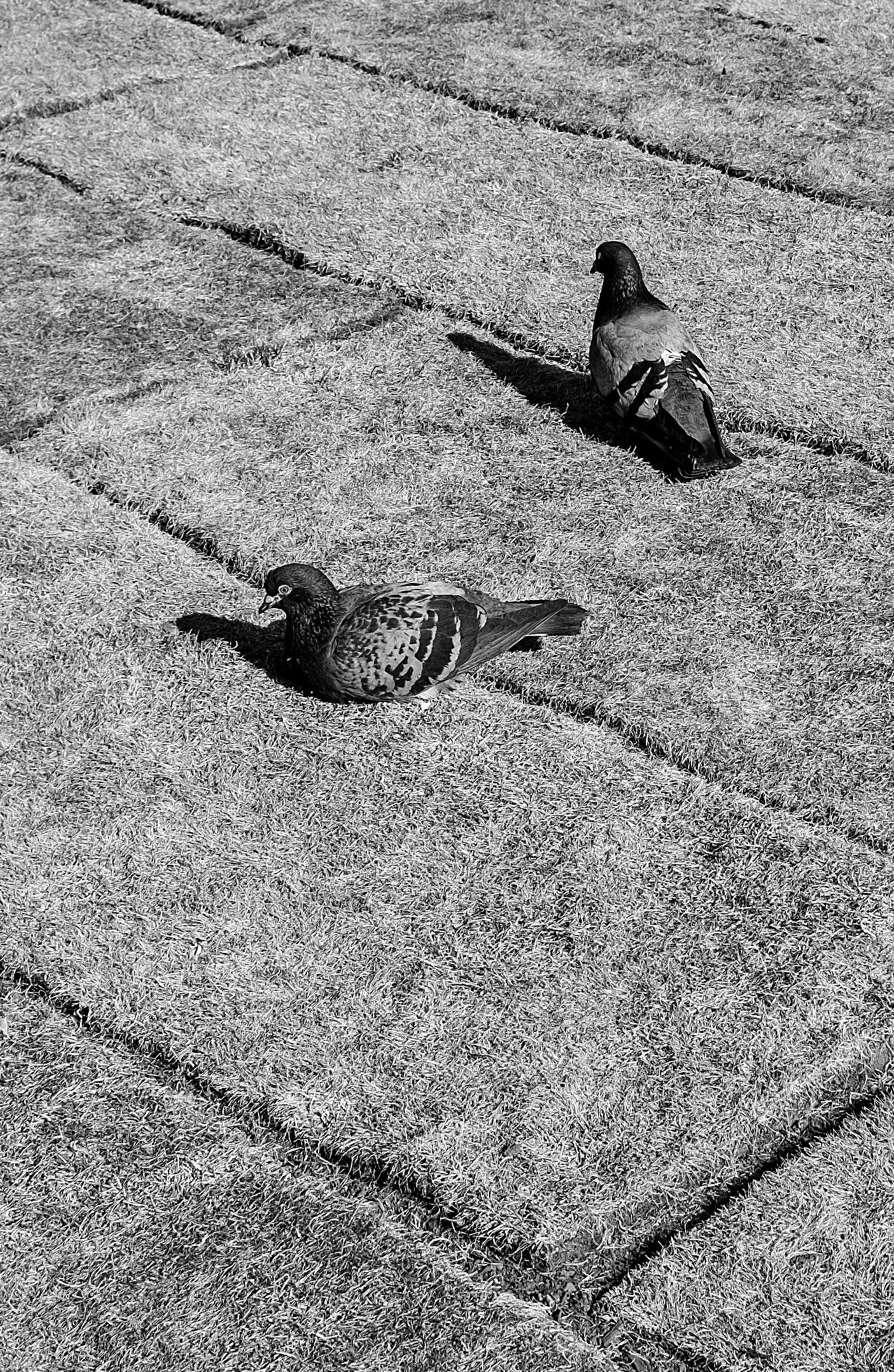 Beispielinhalt (Bild) Sh*tscapes