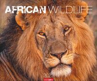Vorderes Coverbild African Wildlife Kalender 2025