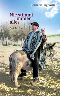 Vorderes Coverbild Nie stimmt immer alles