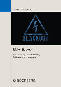 Vorderes Coverbild Risiko Blackout