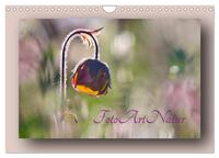 Vorderes Coverbild Foto-Art-Natur (Wandkalender 2026 DIN A4 quer), CALVENDO Monatskalender