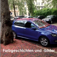 Vorderes Coverbild Farbgeschichten und -bilder