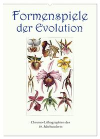 Vorderes Coverbild Formenspiele der Evolution. Chromolithographien des 19. Jahrhunderts (Wandkalender 2025 DIN A2 hoch), CALVENDO Monatskalender