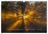 Vorderes Coverbild Hier und jetzt im Teufelsmoor - 2025 (Wandkalender 2025 DIN A3 quer), CALVENDO Monatskalender