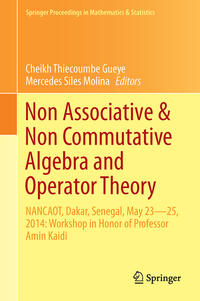 Vorderes Coverbild Non-Associative and Non-Commutative Algebra and Operator Theory