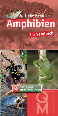 Vorderes Coverbild Heimische Amphibien im Vergleich