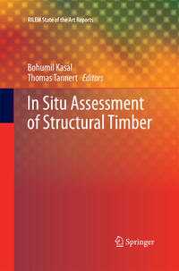 Vorderes Coverbild In Situ Assessment of Structural Timber