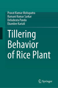 Vorderes Coverbild Tillering Behavior of Rice Plant