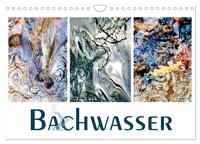 Vorderes Coverbild Bachwasser (Wandkalender 2025 DIN A4 quer), CALVENDO Monatskalender