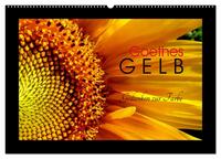 Vorderes Coverbild Goethes Gelb Gedanken zur Farbe (Wandkalender 2025 DIN A2 quer), CALVENDO Monatskalender