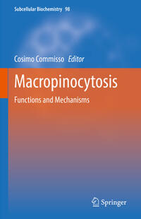 Vorderes Coverbild Macropinocytosis