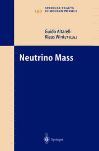 Vorderes Coverbild Neutrino Mass