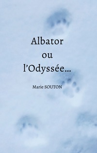 Vorderes Coverbild Albator ou l'Odyssée...