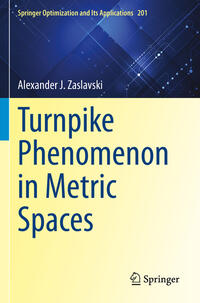 Vorderes Coverbild Turnpike Phenomenon in Metric Spaces