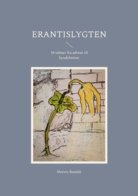 Vorderes Coverbild Erantislygten