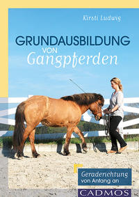Vorderes Coverbild Grundausbildung von Gangpferden