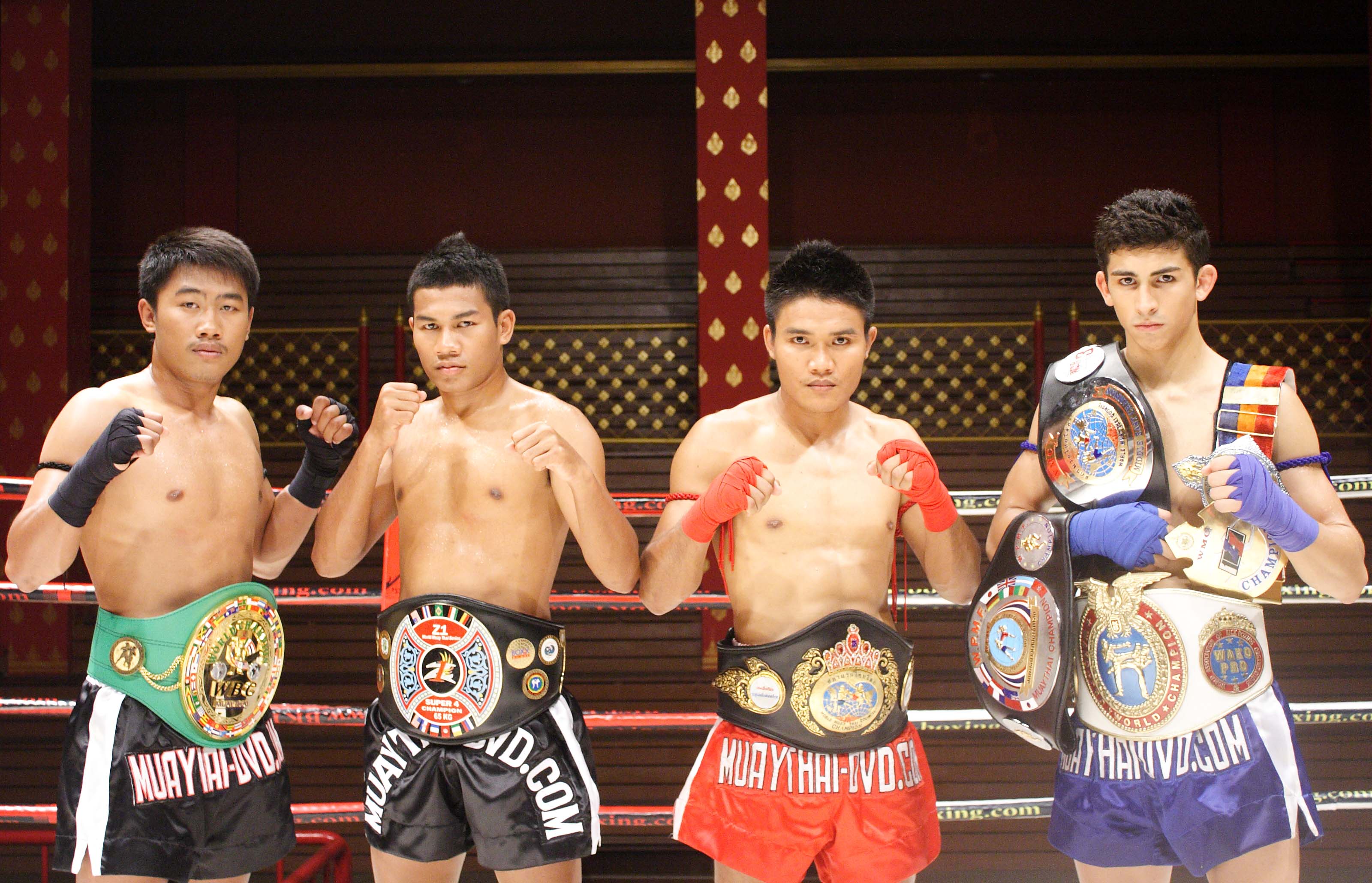 Beispielinhalt (Bild) Muay Thai - Counter against Fist and Leg Techniques