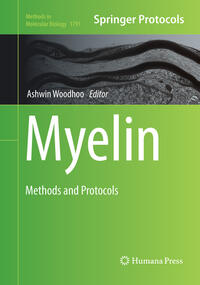 Vorderes Coverbild Myelin