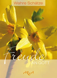 Vorderes Coverbild Wahre Schätze - Freude an Gott