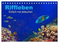 Vorderes Coverbild Riffleben - Einfach mal abtauchen (Tischkalender 2025 DIN A5 quer), CALVENDO Monatskalender