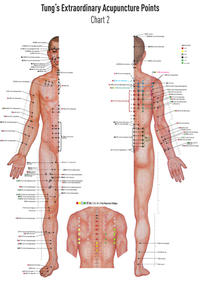Vorderes Coverbild Set Chart 1+2 TUNG's Extraordinary Acupuncture Points on the regular channels