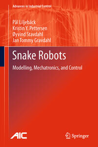 Vorderes Coverbild Snake Robots