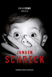 Vorderes Coverbild Jungenschreck