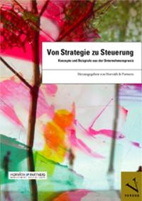 Vorderes Coverbild Von Strategie zu Steuerung